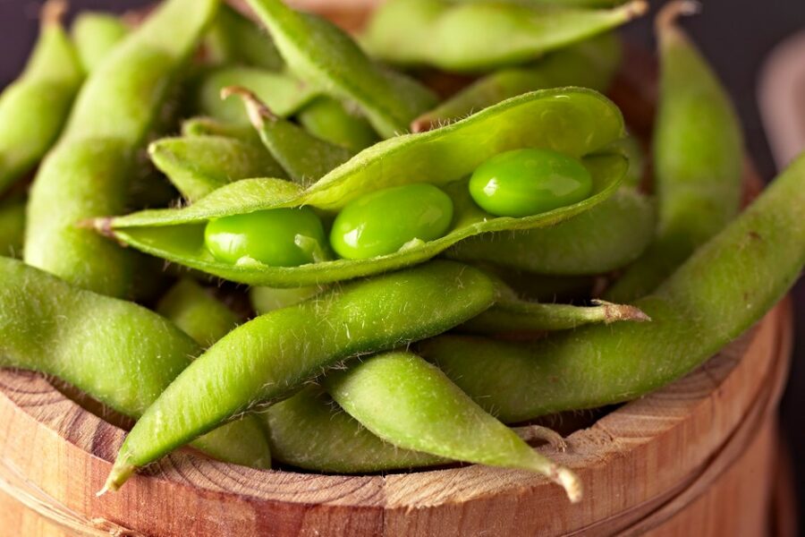 Green soy beans in a bowl in pods